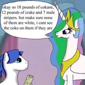 Meet your Posher, Elliot